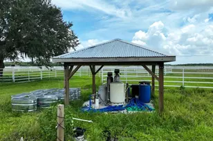 2410 Wilkins Rd, Duette, FL 34219 - Photo 13