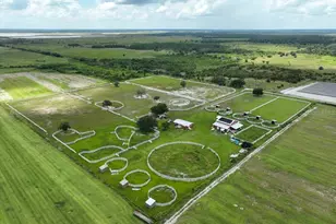 2410 Wilkins Rd, Duette, FL 34219 - Photo 5