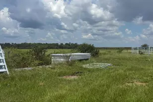 2410 Wilkins Rd, Duette, FL 34219 - Photo 57