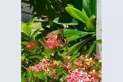 8132 Little Gasparilla Island, Placida, FL 33946 - Photo 11