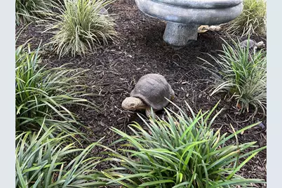 2300 Aaron Street #215, Port Charlotte, FL 33952 - Photo 49