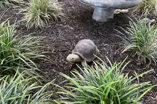 2300 Aaron St, Port Charlotte, FL 33952 - Photo 49