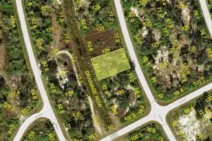 7105 Manniz Rd, Port Charlotte, FL 33981 - Photo 1