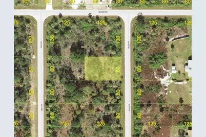 6987 Embry Street, Port Charlotte, FL 33981 - Photo 1