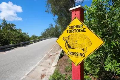 8 Adele Way, Placida, FL 33946 - Photo 47