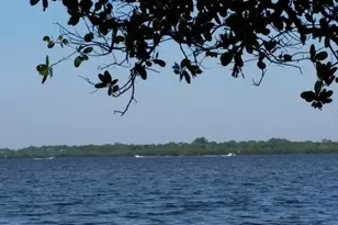 15077 Acorn Cir, Port Charlotte, FL 33981 - Photo 77