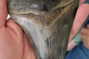 15077 Acorn Cir, Port Charlotte, FL 33981 - Photo 89