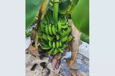 15301 Chinook Way, Port Charlotte, FL 33981 - Photo 41