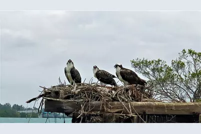 8768 King Street, Placida, FL 33946 - Photo 9