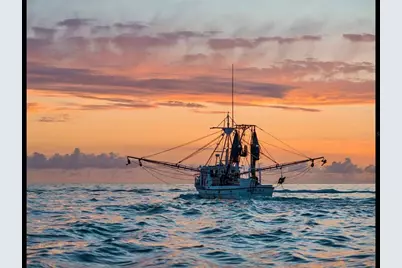 8772 Little Gasparilla Island, Placida, FL 33946 - Photo 49