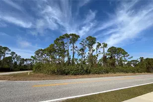 14767 San Domingo Blvd, Port Charlotte, FL 33981 - Photo 1