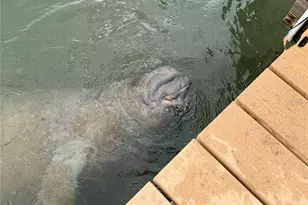 8692 Marsh St, Placida, FL 33946 - Photo 53