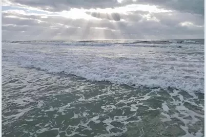 9720 Eagle Preserve Drive, Englewood, FL 34224 - Photo 17