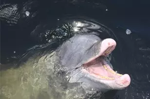 948 Tropical Ave NW, Port Charlotte, FL 33948 - Photo 41