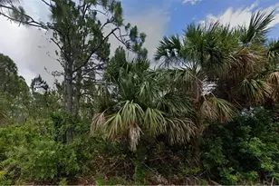 2504 Lyric St, Port Charlotte, FL 33953 - Photo 1