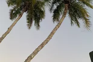 170 N Gulf Blvd, Placida, FL 33946 - Photo 41