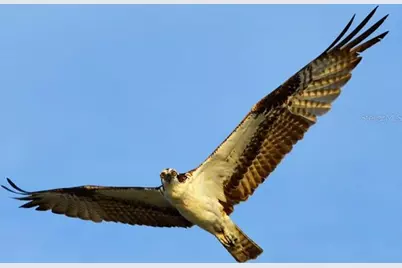 170 N Gulf Boulevard #3, Placida, FL 33946 - Photo 45