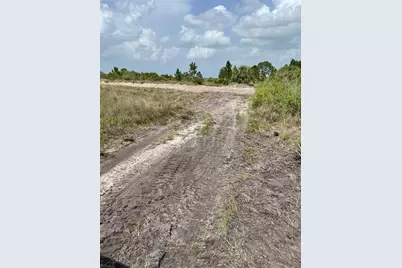 48359 Bermont Road, Punta Gorda, FL 33982 - Photo 5