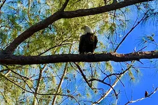 9552 Buccaneer Trail, Placida, FL 33946 - Photo 19