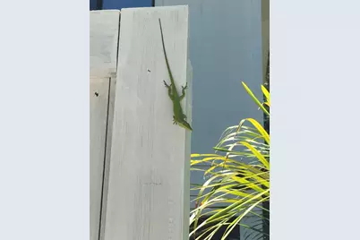 9552 Buccaneer Trail, Placida, FL 33946 - Photo 23