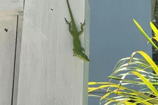 9552 Buccaneer Trail, Placida, FL 33946 - Photo 23