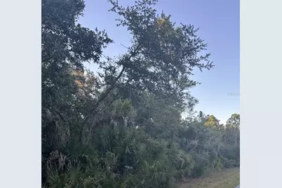 23391 Buckner Avenue, Port Charlotte, FL 33980 - Photo 1