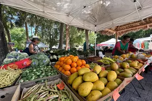 1493 Janet Pl, Englewood, FL 34223 - Photo 43