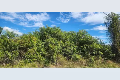 6138 Carlson Street, Port Charlotte, FL 33981 - Photo 13