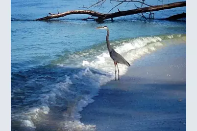 90 N Gulf Boulevard, Placida, FL 33946 - Photo 65