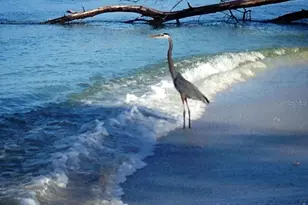 90 N Gulf Blvd, Placida, FL 33946 - Photo 65