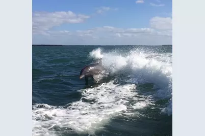 9568 Buccaneer Trail, Placida, FL 33946 - Photo 47