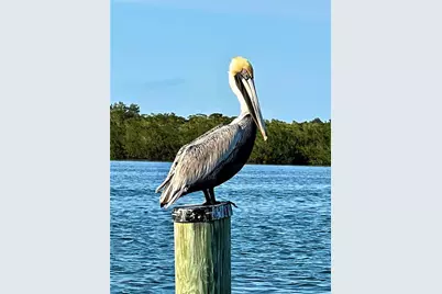 8142 Little Gasparilla Island, Placida, FL 33946 - Photo 29