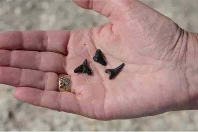 2727 N Beach Road #113, Englewood, FL 34223 - Photo 45