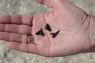 2727 N Beach Rd, Englewood, FL 34223 - Photo 45