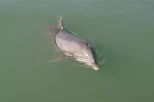 2727 N Beach Rd, Englewood, FL 34223 - Photo 47