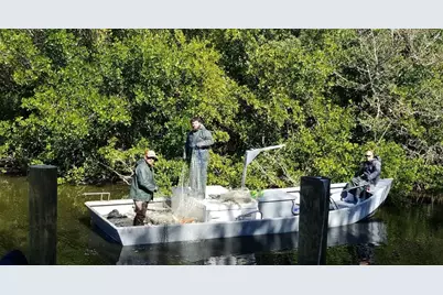 120 Barracuda Drive, Placida, FL 33946 - Photo 3