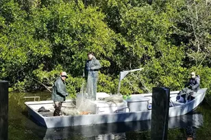 120 Barracuda Dr, Placida, FL 33946 - Photo 3