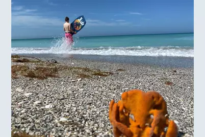 2955 N Beach Road #D125, Englewood, FL 34223 - Photo 37