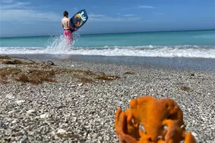 2955 N Beach Rd, Englewood, FL 34223 - Photo 37