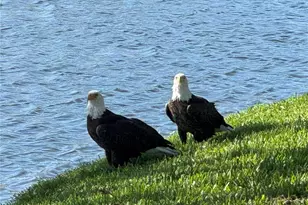 487 Dover Cir, Englewood, FL 34223 - Photo 55