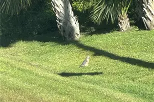 23 Mooring Pl, Placida, FL 33946 - Photo 1