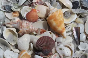 41 S Gulf Blvd, Placida, FL 33946 - Photo 55