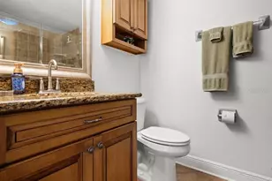 299 Forest Springs Ct, Englewood, FL 34223 - Photo 29