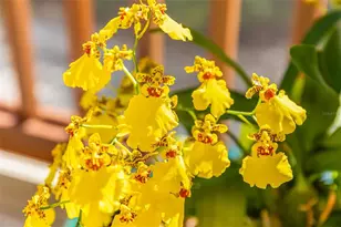 160 1st St E, Boca Grande, FL 33921 - Photo 33