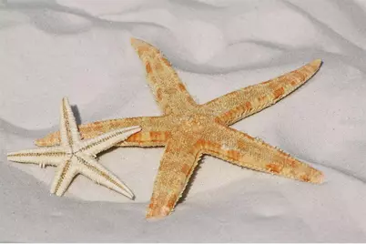 601 Rotonda Circle, Rotonda West, FL 33947 - Photo 95