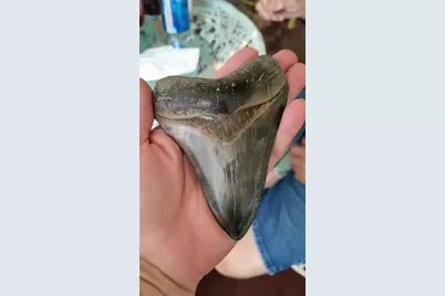 232 Mark Twain Lane, Rotonda West, FL 33947 - Photo 23