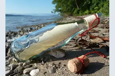 35 Pine Valley Court, Rotonda West, FL 33947 - Photo 89