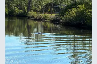 13349 Tolman Avenue, Port Charlotte, FL 33953 - Photo 11