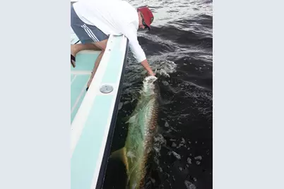 9015 Anita Avenue, Englewood, FL 34224 - Photo 53