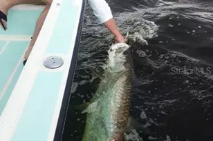 9015 Anita Ave, Englewood, FL 34224 - Photo 53